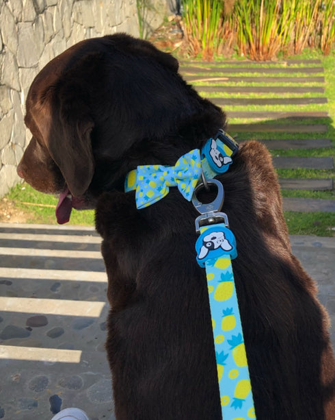 Collar con Moño Abacaxi